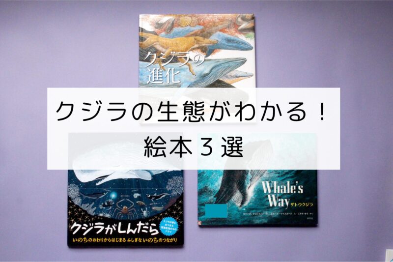 クジラに関する絵本3冊が並んでいる画像。上には『クジラの進化』、左下には『クジラがしんだら』、右下には『Whale's Way ザトウクジラ』の表紙が見える。