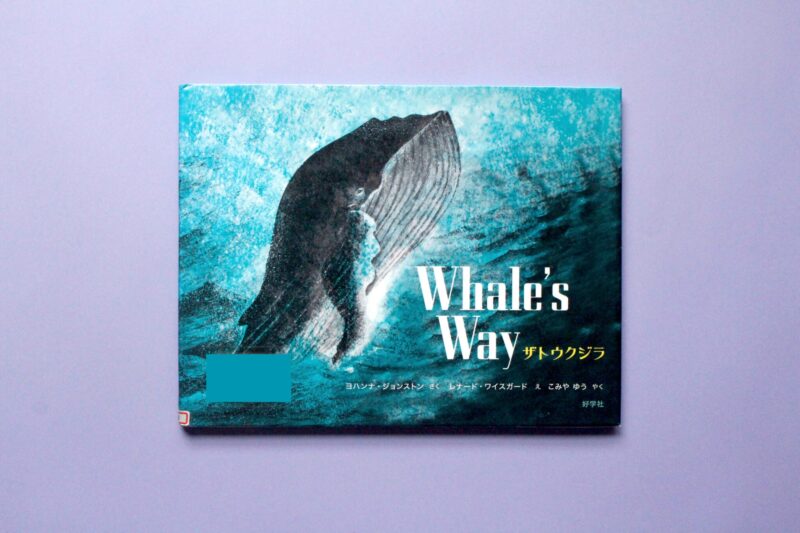書籍『Whale's Way ザトウクジラ』の表紙、青い海を泳ぐザトウクジラのイラストが描かれたデザイン